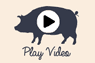 a pig icon